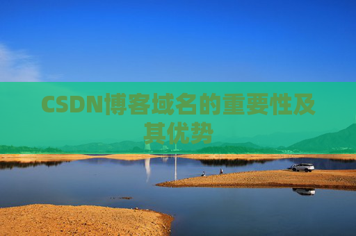 CSDN博客域名的重要性及其优势